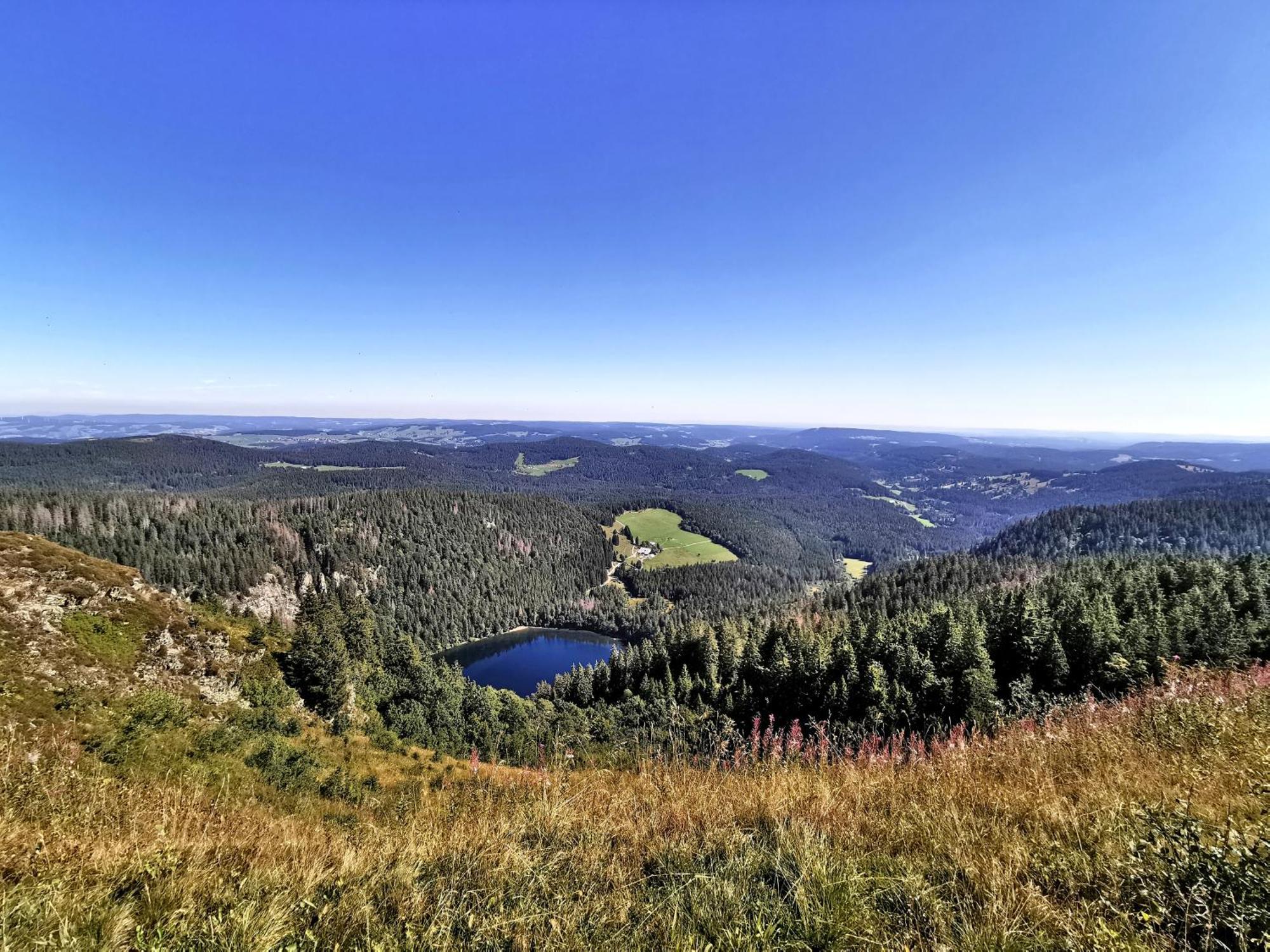 Apartamento Residenz Grafenmatt "Abendsonne" Feldberg  Exterior foto